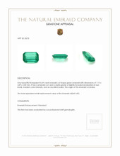 0.69 Ct. Emerald from Zambia Appraisal