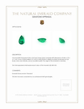 0.86 Ct. Emerald from Colombia Appraisal