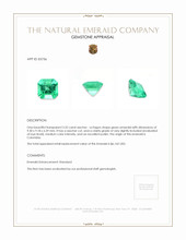 3.32 Ct. Emerald from Colombia Appraisal