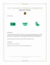 1.04 Ct. Emerald from Afghanistan Appraisal