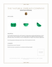 0.82 Ct. Emerald from Afghanistan Appraisal