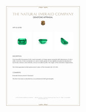 0.82 Ct. Emerald from Afghanistan Appraisal