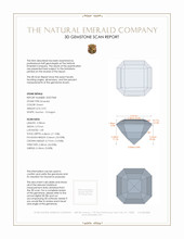 Jewelry 3 D Scan Report