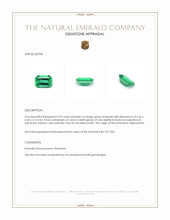 0.59 Ct. Emerald from Afghanistan Appraisal