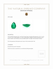 0.81 Ct. Emerald from Zambia Appraisal