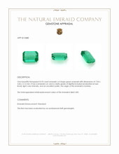 0.93 Ct. Emerald from Zambia Appraisal