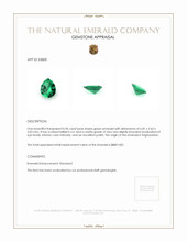 0.50 Ct. Emerald from Afghanistan Appraisal