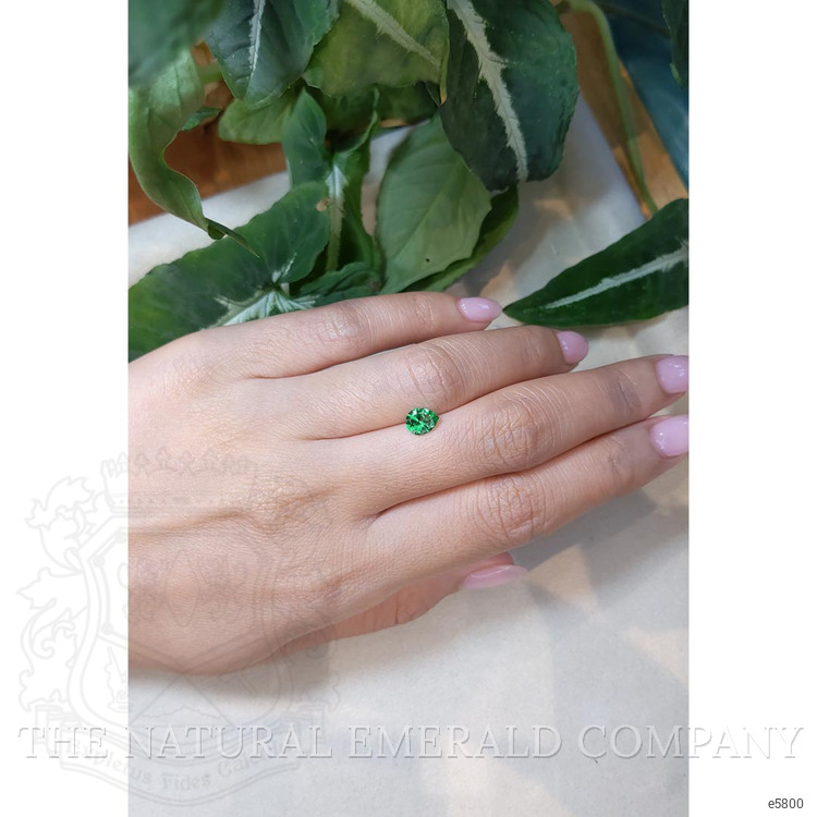 0.50 Ct. Emerald from Afghanistan