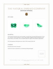 0.48 Ct. Emerald from Afghanistan Appraisal