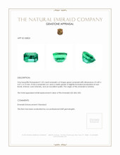 1.02 Ct. Emerald from Zambia Appraisal