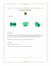 Jewelry Appraisal