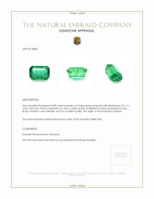0.80 Ct. Emerald from Zambia Appraisal