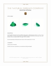 2.30 Ct. Emerald from Zambia Appraisal