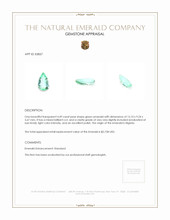 4.49 Ct. Emerald from Nigeria Appraisal