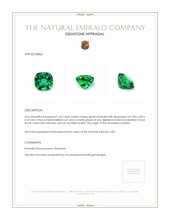1.65 Ct. Emerald from Zambia Appraisal