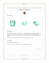 1.39 Ct. Emerald from Nigeria Appraisal