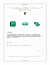 9.81 Ct. Emerald from Zambia Appraisal