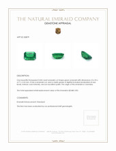 0.84 Ct. Emerald from Colombia Appraisal