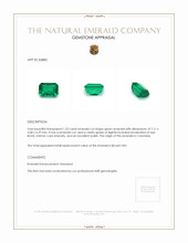 1.22 Ct. Emerald from Colombia Appraisal