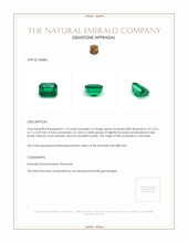 1.10 Ct. Emerald from Colombia Appraisal