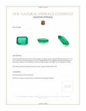 0.82 Ct. Emerald from Zambia Appraisal
