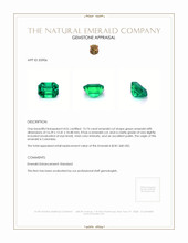 13.74 Ct. Emerald from Colombia Appraisal