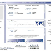 13.74 Ct. Emerald from Colombia Scan Report