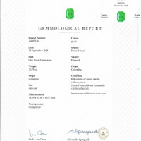 13.74 Ct. Emerald from Colombia Scan Report