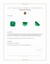 0.97 Ct. Emerald from Madagascar Appraisal