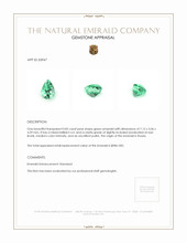 0.82 Ct. Emerald from Russia Appraisal