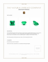 0.85 Ct. Emerald from Russia Appraisal
