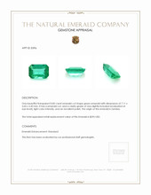 Jewelry Appraisal