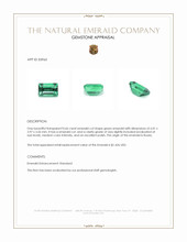 0.66 Ct. Emerald from Russia Appraisal