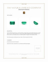 0.51 Ct. Emerald from Russia Appraisal