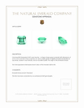 0.89 Ct. Emerald from Russia Appraisal