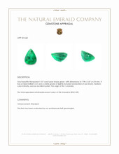 1.07 Ct. Emerald from Zambia Appraisal