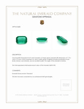 0.69 Ct. Emerald from Zambia Appraisal