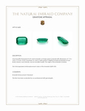 0.69 Ct. Emerald from Zambia Appraisal