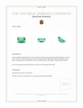 0.81 Ct. Emerald from Russia Appraisal