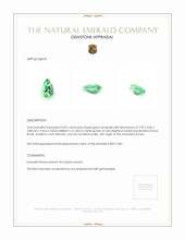 0.81 Ct. Emerald from Russia Appraisal