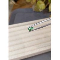 0.81 Ct. Emerald from Russia Life Style