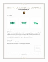 0.99 Ct. Emerald from Russia Appraisal