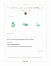 0.91 Ct. Emerald from Russia Appraisal