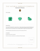 0.51 Ct. Emerald from Russia Appraisal