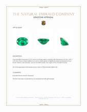 0.59 Ct. Emerald from Russia Appraisal