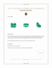 0.96 Ct. Emerald from Russia Appraisal