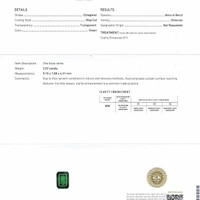 Jewelry Scan Report