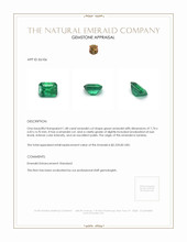 1.48 Ct. Emerald from Zambia Appraisal