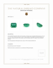 2.80 Ct. Emerald from Zambia Appraisal