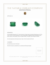 2.67 Ct. Emerald from Zambia Appraisal